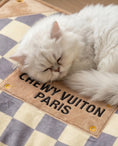 Load image into Gallery viewer, Checker Chewy Vuiton Bed
