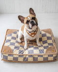 Load image into Gallery viewer, Checker Chewy Vuiton Bed
