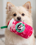 Load image into Gallery viewer, Starbarks Pawberry Ruffresher | Squeaky Plush Dog Toy with Crinkle & Mesh Lining
