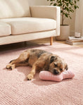 Load image into Gallery viewer, Doggo Athletic Sock | Squeaky Plush Dog Toy with Crinkle & Mesh Lining
