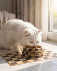 Load image into Gallery viewer, Tan Checker Chewy Vuiton Bowls & Mat
