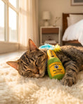 Load image into Gallery viewer, Kitty Clicquot (Bottle & Caviar) Catnip Toys
