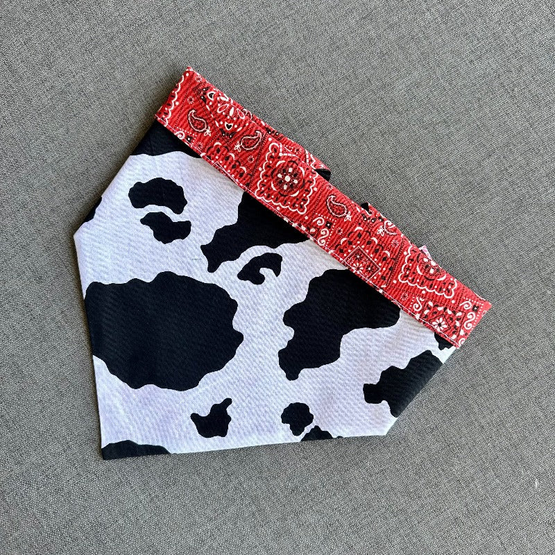 Cow Print Rodeo Bandana Dog Collar - Southlake Paws