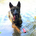 Load image into Gallery viewer, USA-K9 Firecracker Durable Rubber Floating Training Dummy - Large - Red

