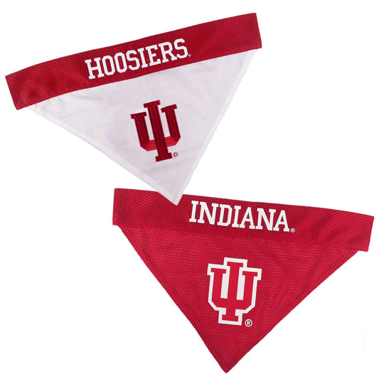 Indiana Reversible Dog Bandana