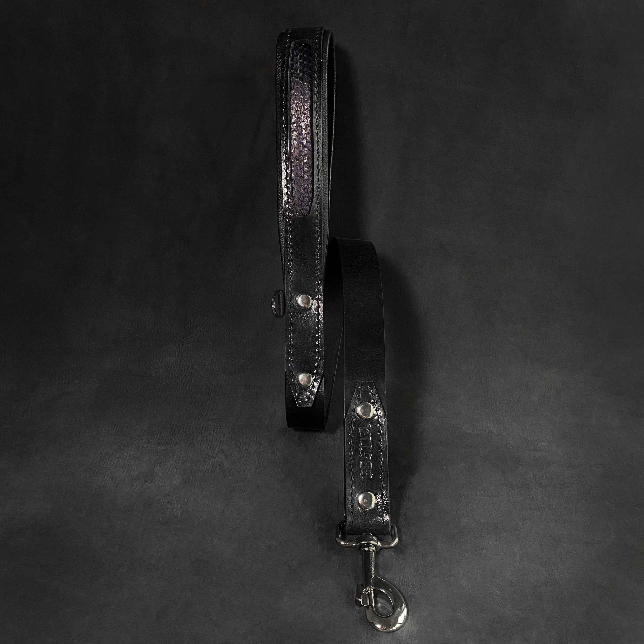 The ''Indigo'' collar
