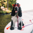 Load image into Gallery viewer, Anchors Aweigh Dog Collar
