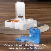Bento Two Meal Automatic Pet Feeder with Ice Packs 