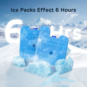 Bento Two Meal Automatic Pet Feeder with Ice Packs 