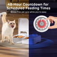 Load image into Gallery viewer, Bento Two Meal Automatic Pet Feeder with Ice Packs 
