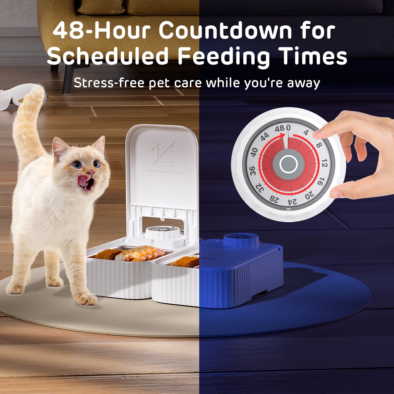 Bento Two Meal Automatic Pet Feeder with Ice Packs 