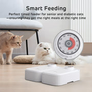 Bento Two Meal Automatic Pet Feeder with Ice Packs 