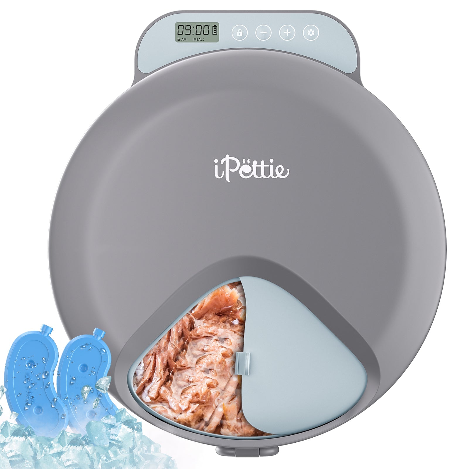 Zharko Four Meals Automatic Wet Feeder, Grey & Blue 