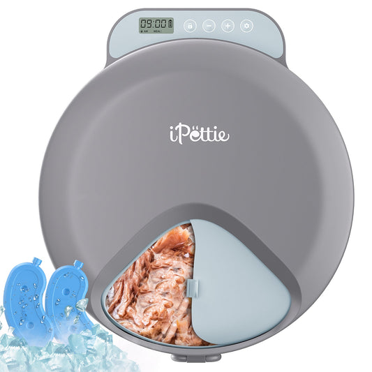 Zharko Four Meals Automatic Wet Feeder, Grey & Blue 