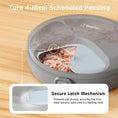 Load image into Gallery viewer, Zharko Four Meals Automatic Wet Feeder, Grey & Blue 
