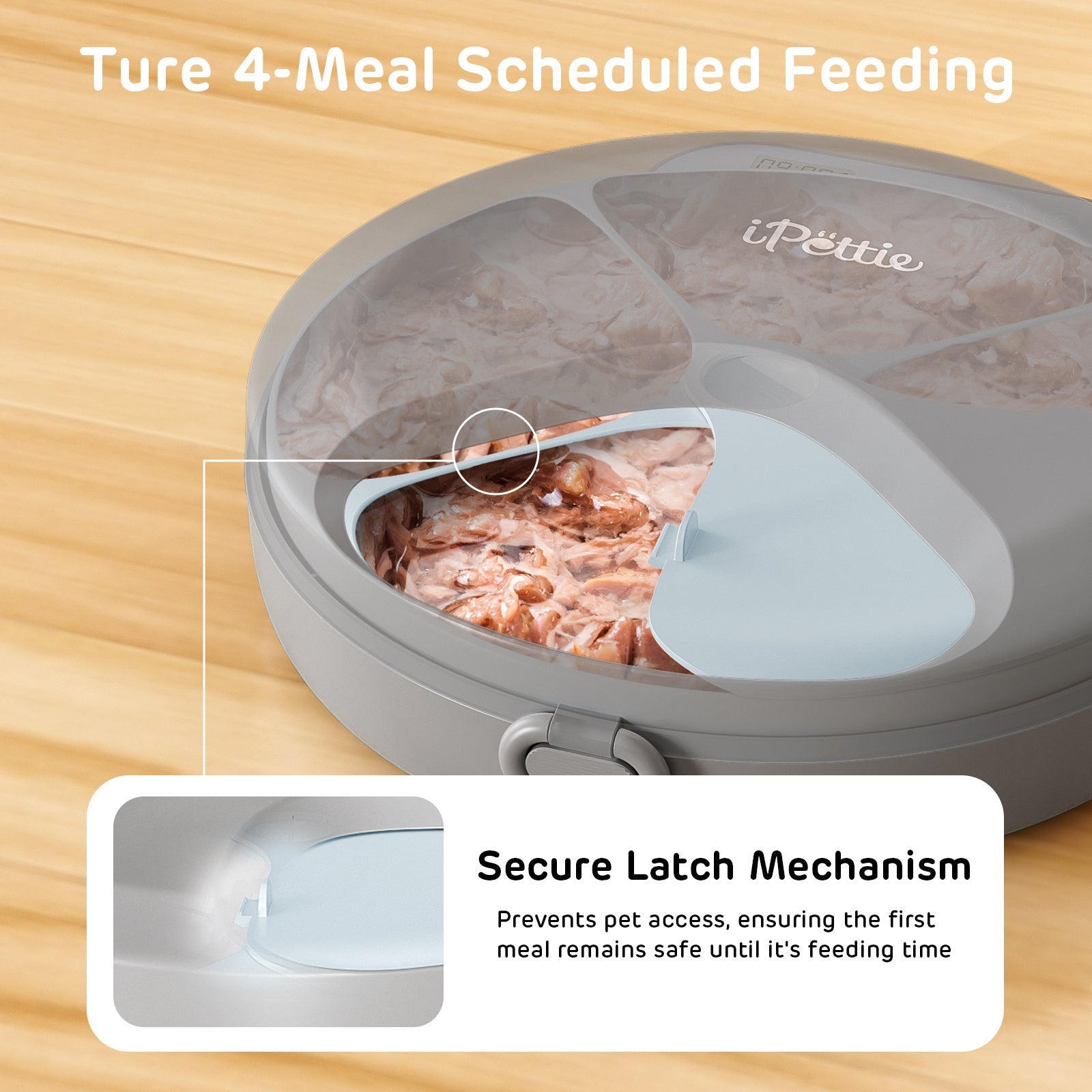Zharko Four Meals Automatic Wet Feeder, Grey & Blue 