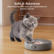 Zharko Four Meals Automatic Wet Feeder, Grey & Blue 