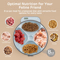 Load image into Gallery viewer, Zharko Four Meals Automatic Wet Feeder, Grey & Blue 
