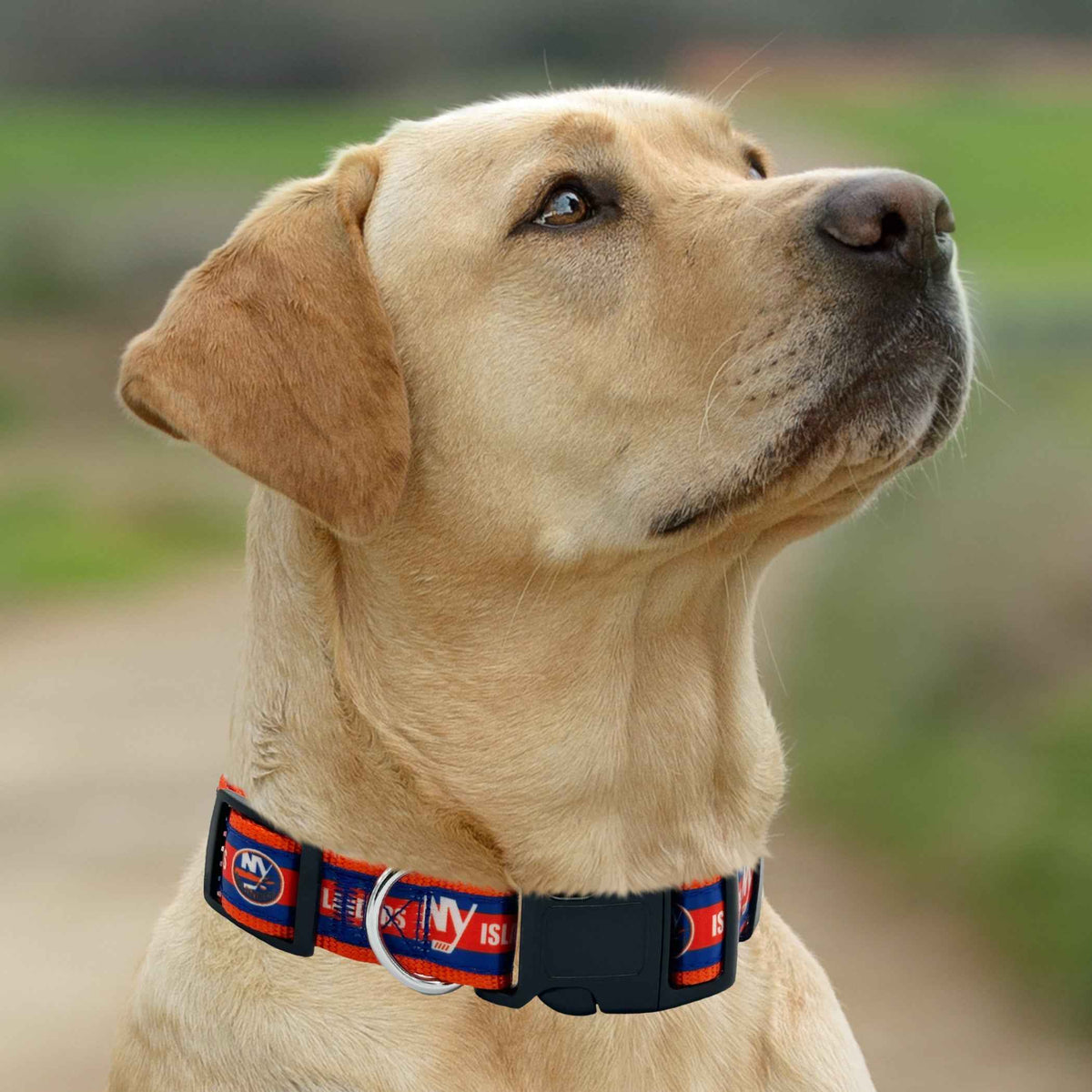 New York Islanders Satin Collar