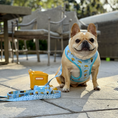 Load image into Gallery viewer, Frenchie Duo Reversible Harness - It's Raining Frenchies
