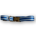 Load image into Gallery viewer, IZOD Pet - Collar & Leash Set
