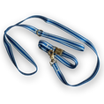 Load image into Gallery viewer, IZOD Pet - Collar & Leash Set
