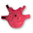 Load image into Gallery viewer, IZOD Pet - Frandy
