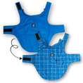 Load image into Gallery viewer, Tommy Bahama Pet - Frandy
