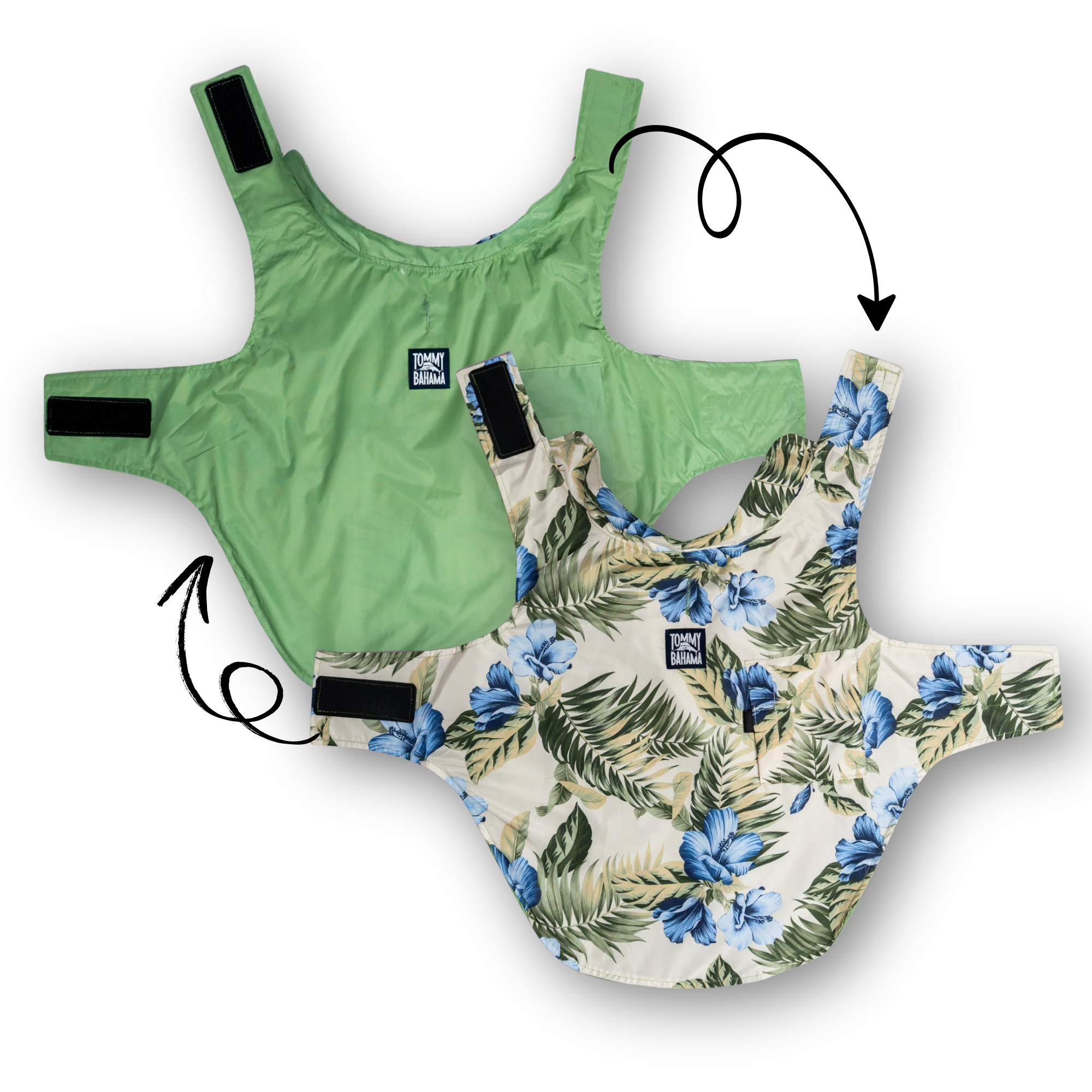 Tommy Bahama Pet - Frandy