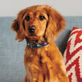 Load image into Gallery viewer, Ice Cream Dog Collar
