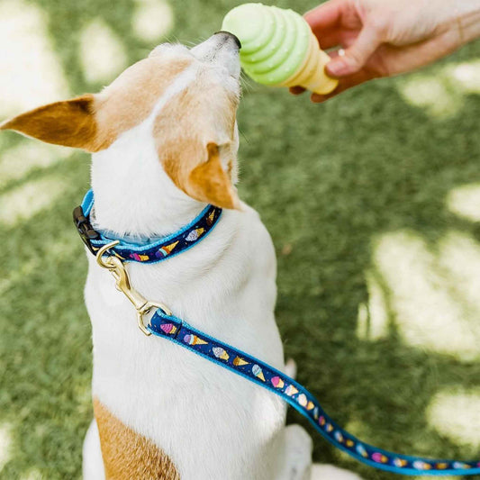 Up Country Ice Cream Cast Brass Dog Collar