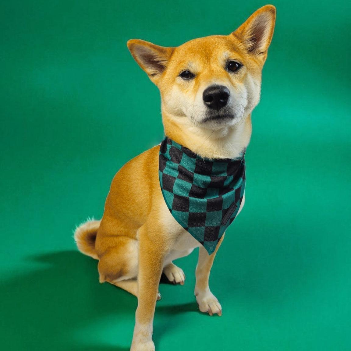 Ichimatsu Checker Cooling Bandana - Southlake Paws