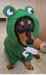 Frog Party Hoodie