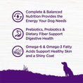 Load image into Gallery viewer, Wellness Complete Health Beef & Barley Adult Dry Dog Food 
