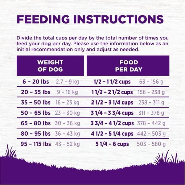 Wellness Complete Health Beef & Barley Adult Dry Dog Food 