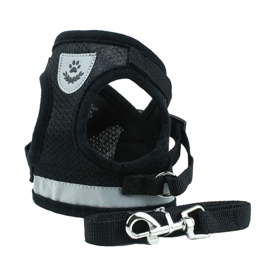 Houdini Weenie No-Escape Harness 