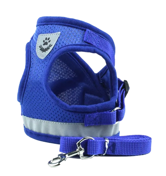 Houdini Weenie No-Escape Harness 