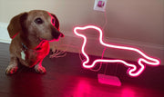 Dachshund Shape Neon Light