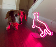 Dachshund Shape Neon Light