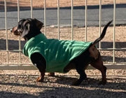 Green Basic Fleece Pullover