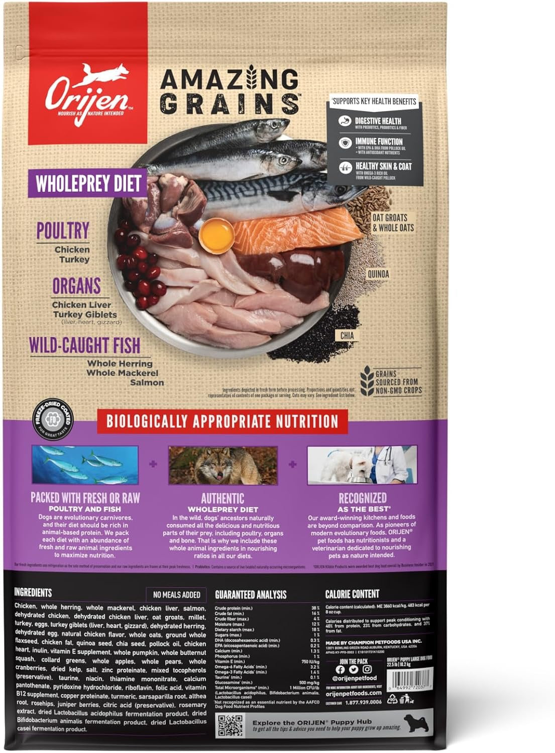 Orijen Amazing Grains Puppy Large Breed Dry Dog Food (22.5lb) 