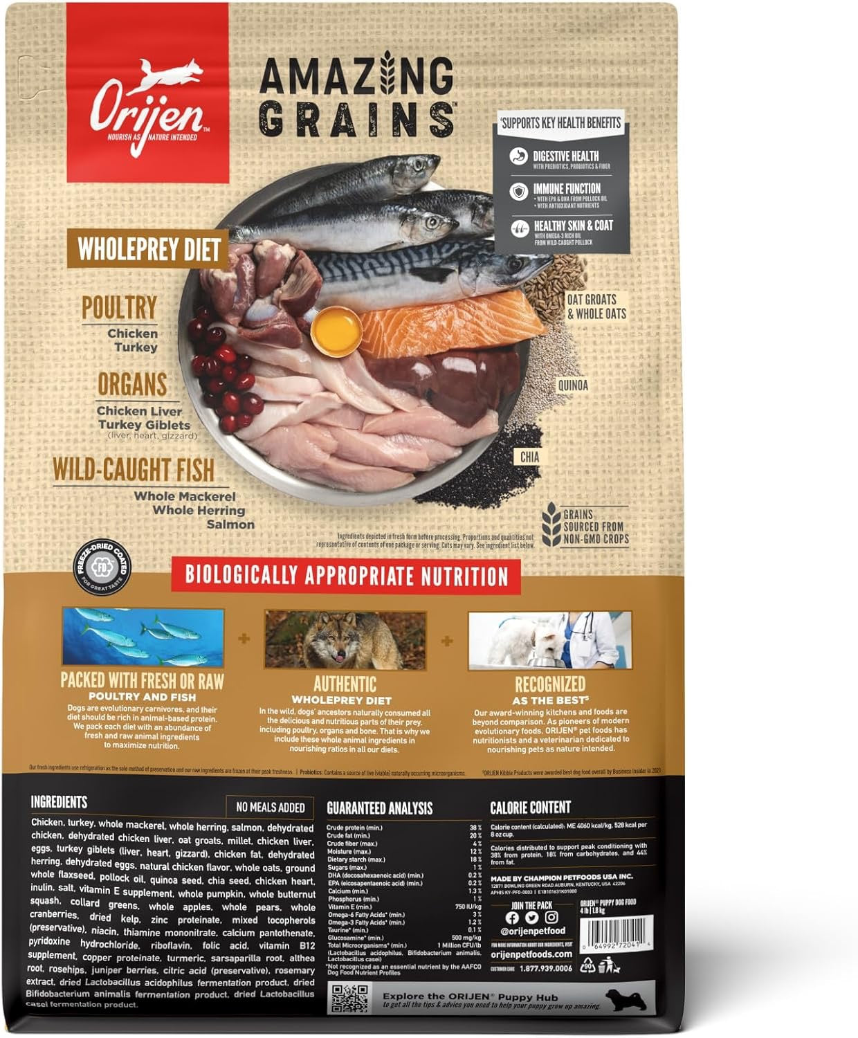 Orijen Amazing Grains Puppy Dry Dog Food 