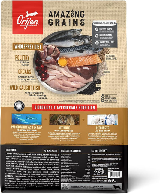 Orijen Amazing Grains Puppy Dry Dog Food 
