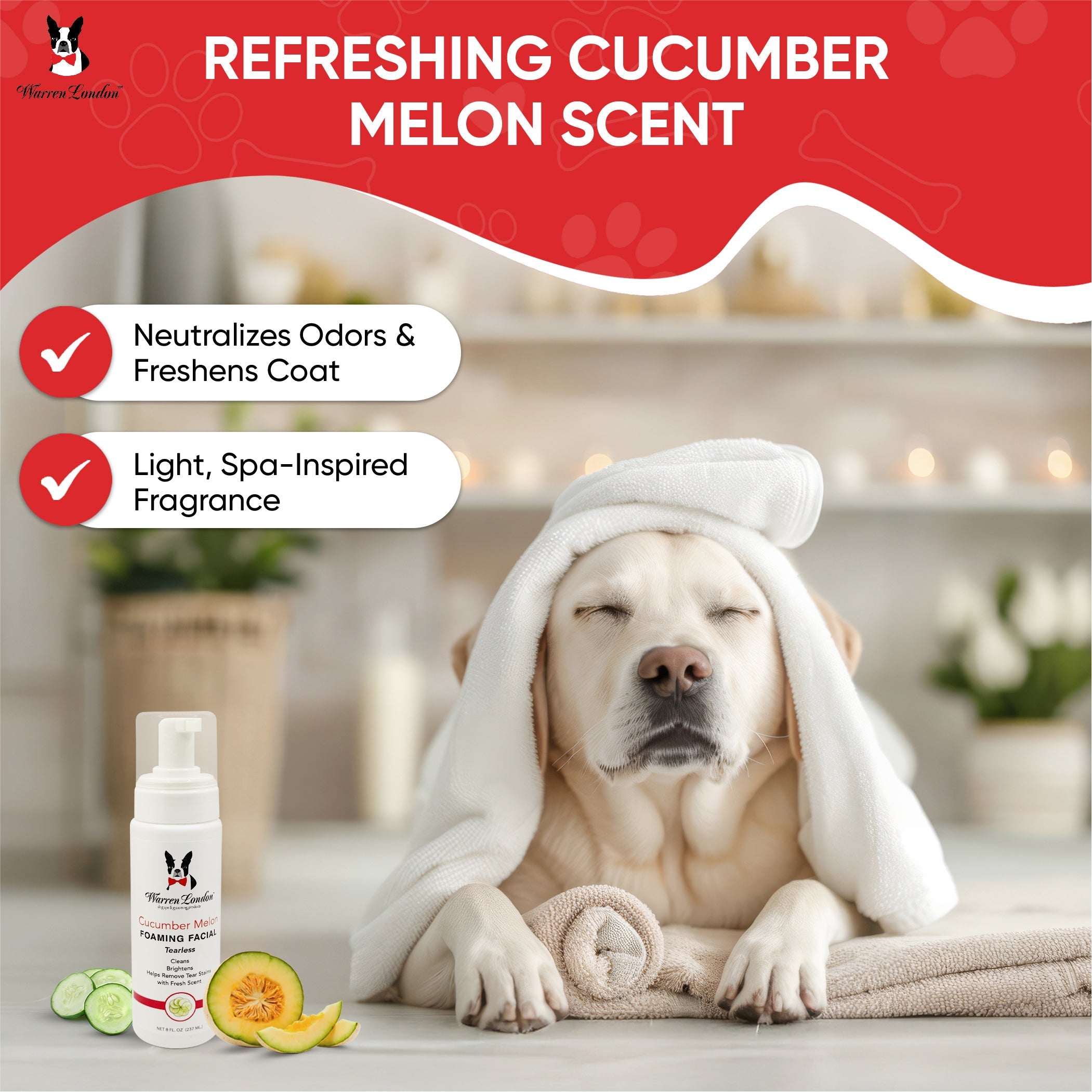 Cucumber Melon Foaming Facial - Professional Size - Refill 