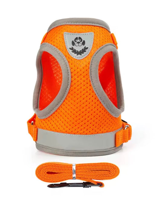 Houdini Weenie No-Escape Harness 