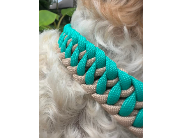 Infinity Braid in Teal & Light Tan - Handmade Dog Collar - Southlake Paws