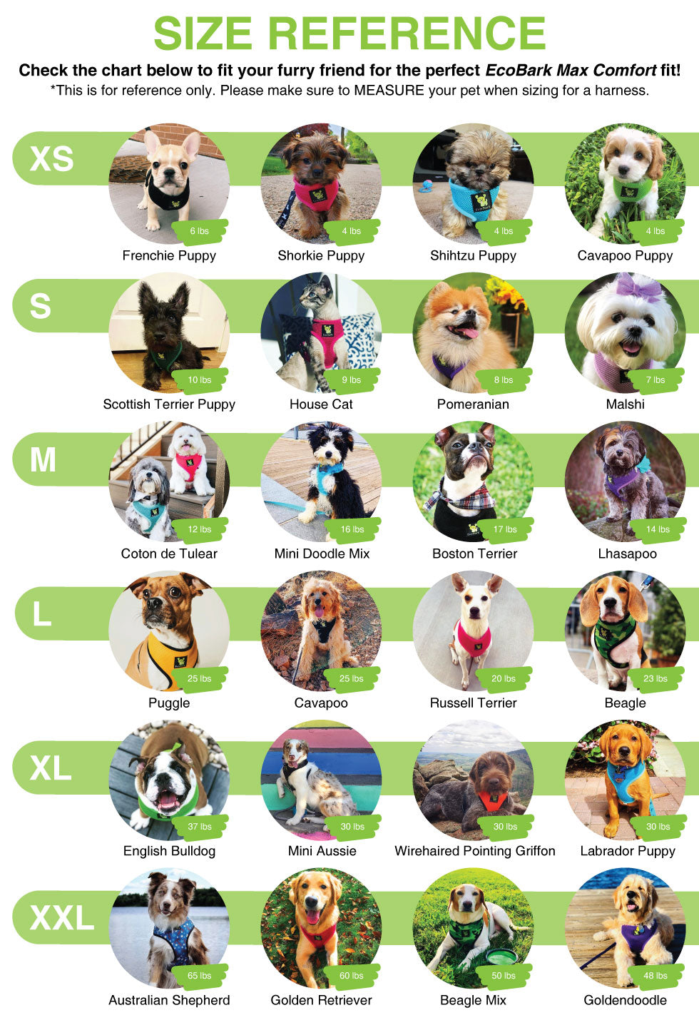 EcoBark Forest Green Dog Harness - Over-the-Head Vest Halter Soft Mesh for Small to Medium Dogs