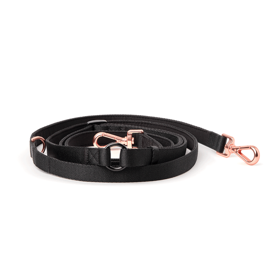 DOGISTRY Metro Hands Free Leash – Black / Matte Rose Gold
