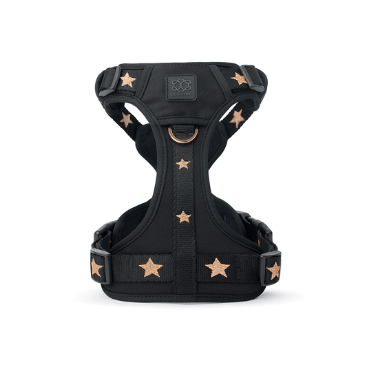 DOGISTRY The NoMad Adjustable Luxe Harness - Rockstar