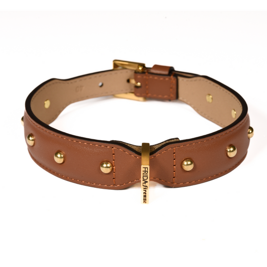 Leather Dog Collar in Brown - Sphere, Made in Italy